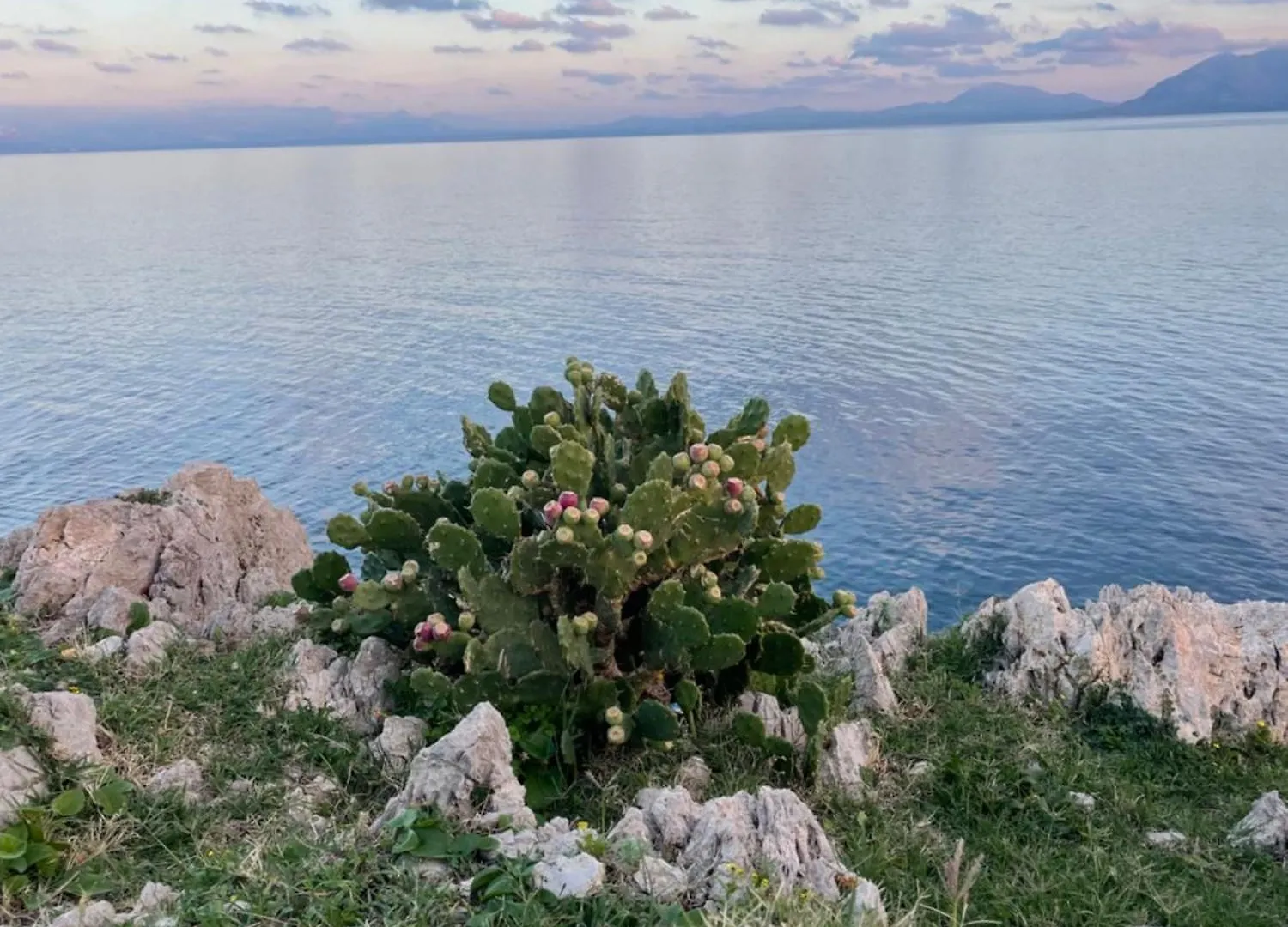 Pensjonat Hotel Quiete E Mare San Vito Lo Capo